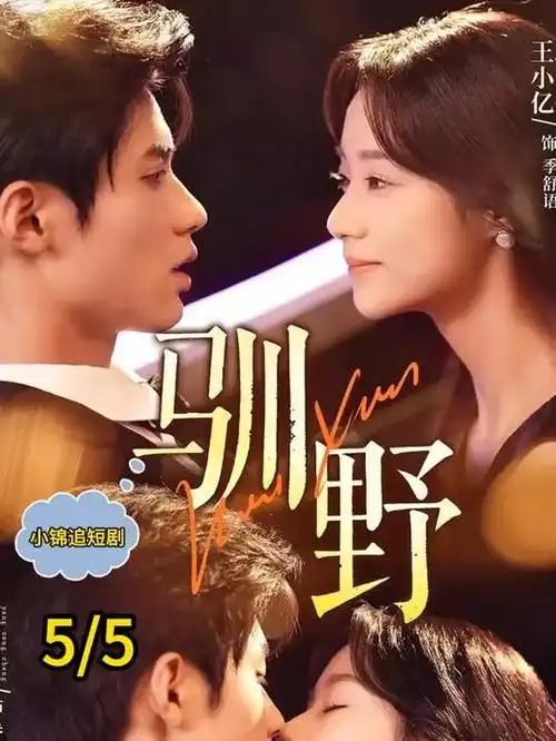 我的阿勒泰 海报